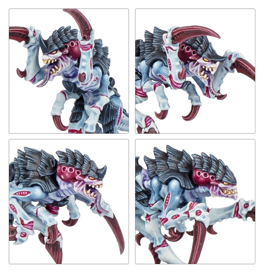 Games Workshop 103-88 - Kill Team - Typhon