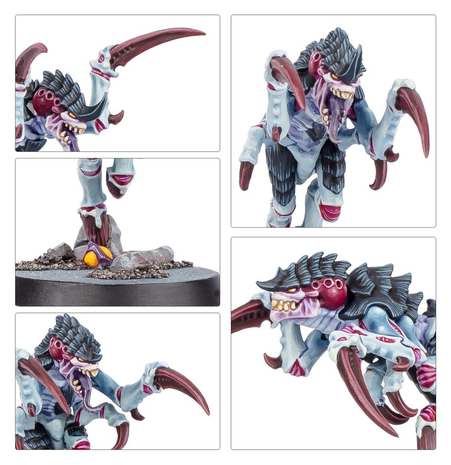 Games Workshop 103-88 - Kill Team - Typhon