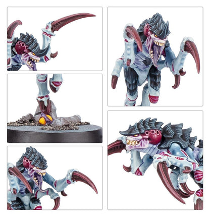 Games Workshop 103-88 - Kill Team - Typhon