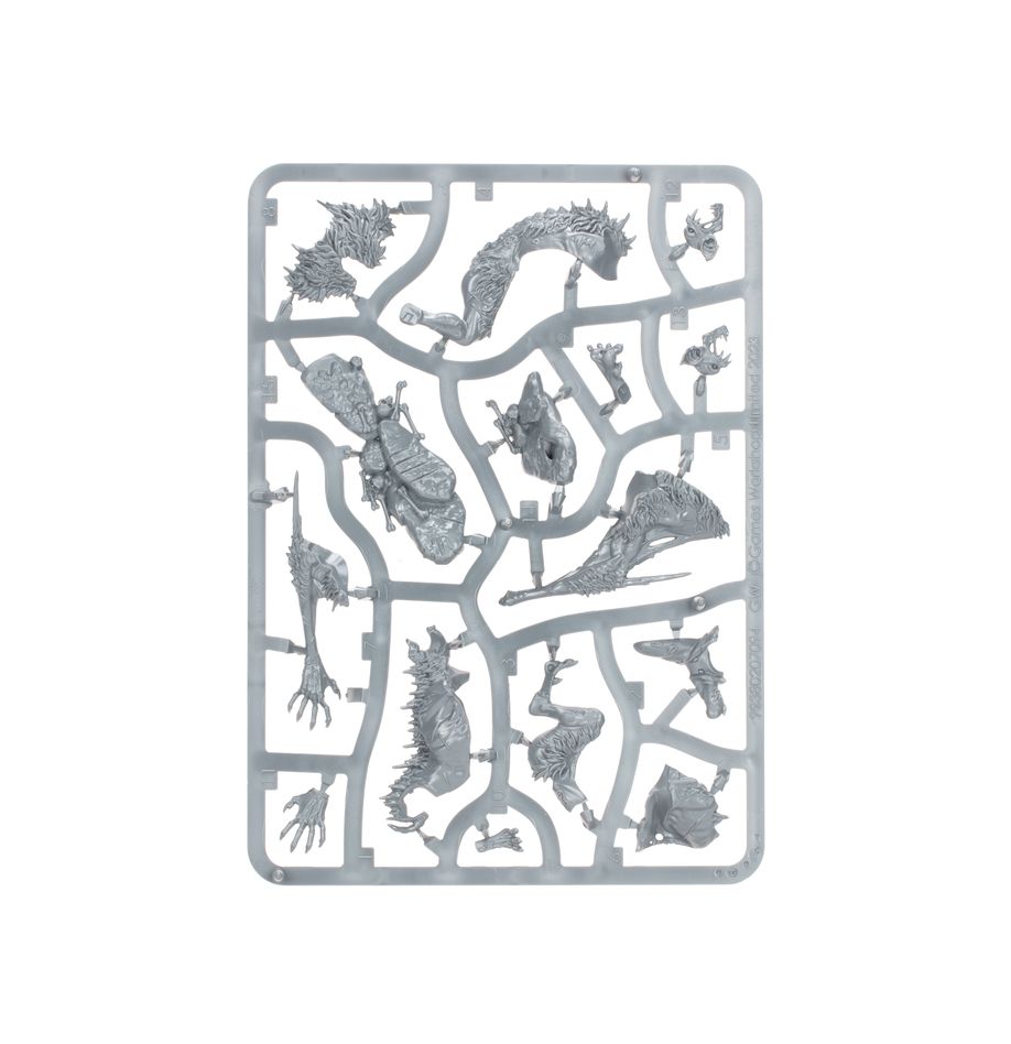 Games Workshop 70-24 - Age of Sigmar - Flesh-Eater Courts: Spearhead