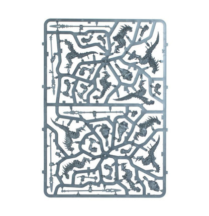 Games Workshop 70-881 - Age of Sigmar - Seraphon: Spearhead