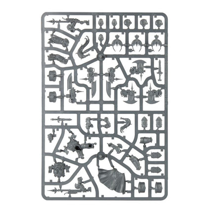 Games Workshop 01-13 - Warhammer 40,000 - Adeptus Custodes: Allarus Custodians