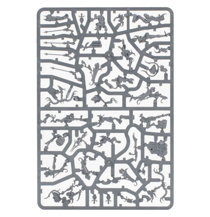 Games Workshop 70-18 - Age of Sigmar - Hedonites of Slaanesh: Spearhead