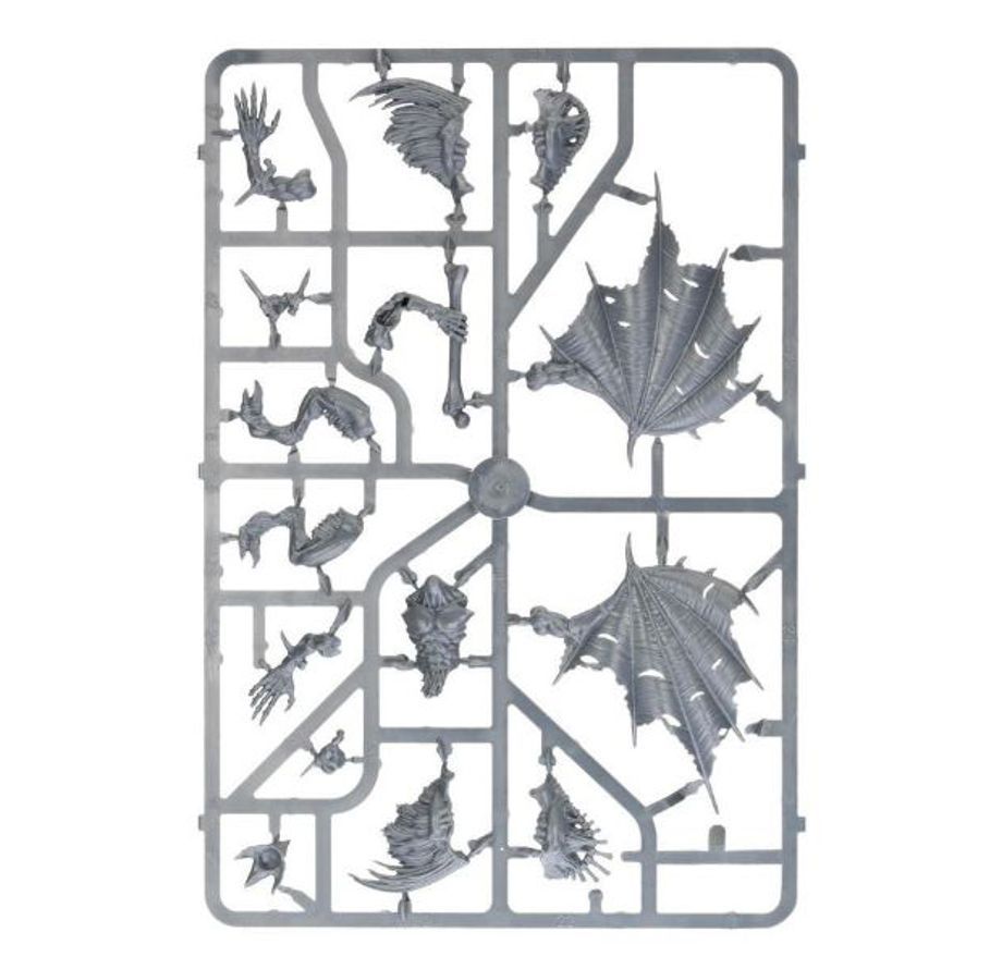 Games Workshop 70-16 - Age of Sigmar - Soulblight Gravelords: Spearhead