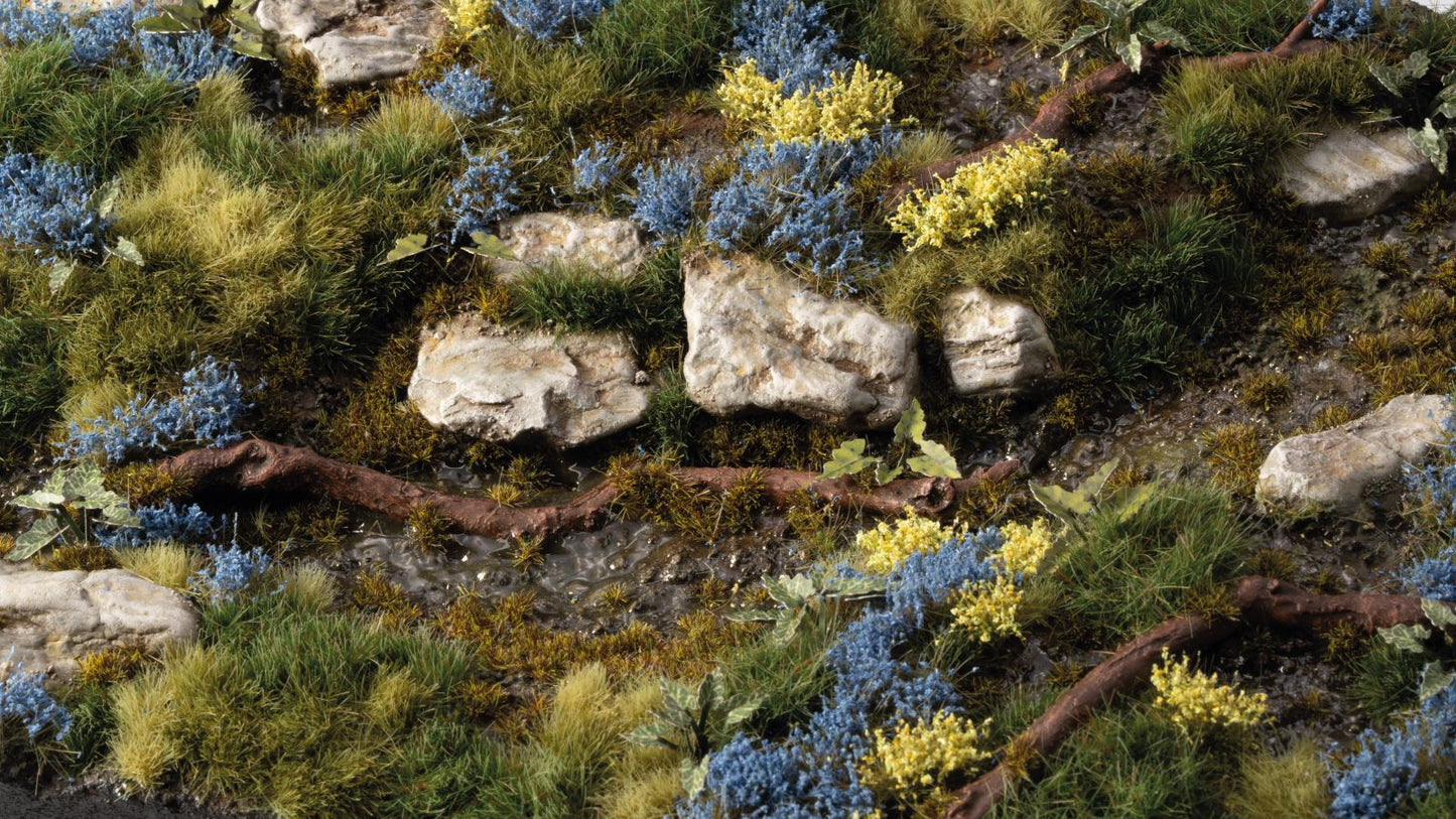 Gamers Grass GGFS-BLU - Bluebeard Flowers