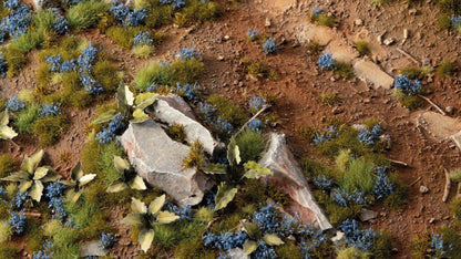 Gamers Grass GGFS-COR - Cornflower Tiny Flowers