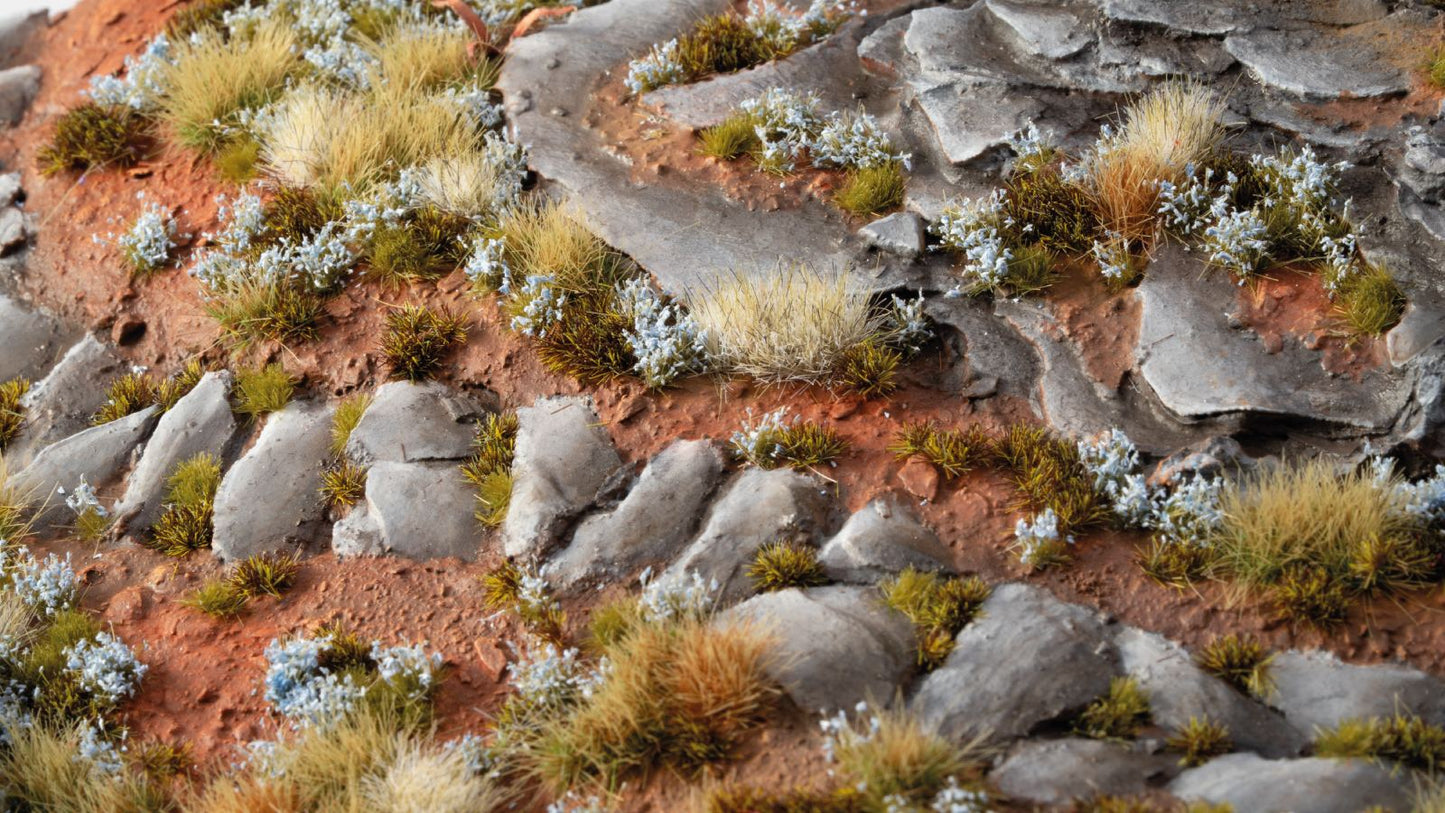 Gamers Grass GGFS-FMN - Forget-Me-Not Tiny Flowers