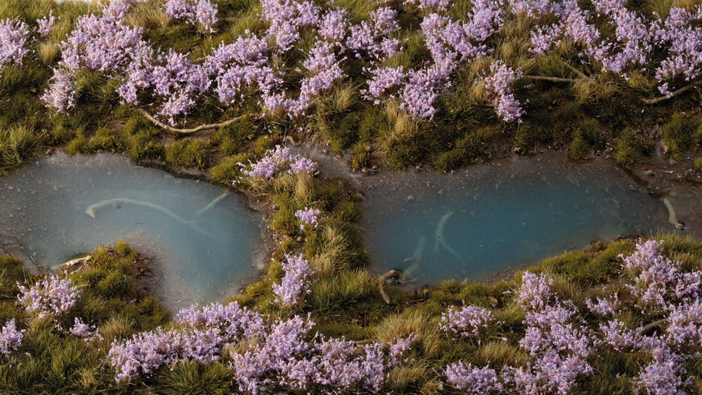 Gamers Grass GGFS-LAV - Lavender Flowers